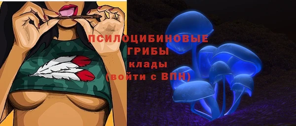 дмт Медногорск