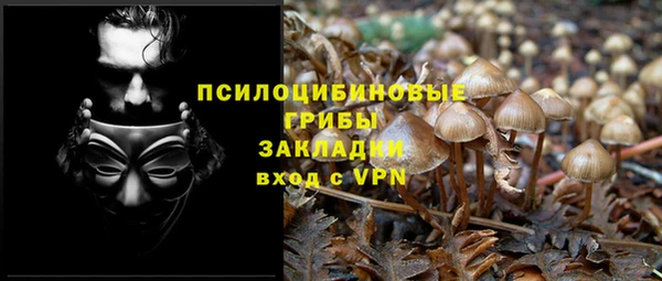 кокс Михайлов