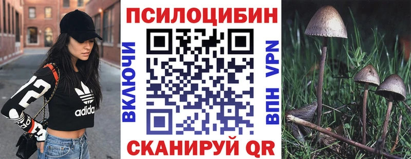 где купить наркотик  Новомичуринск  Псилоцибиновые грибы Cubensis 